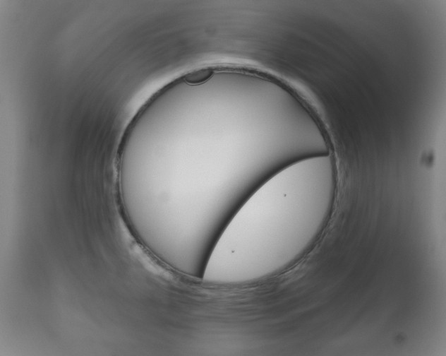 X0000111171287200907010959