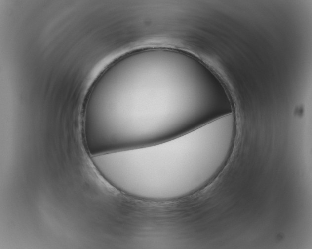 X0000111171288200907010958