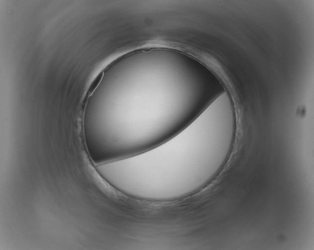 X0000111171292200907010958