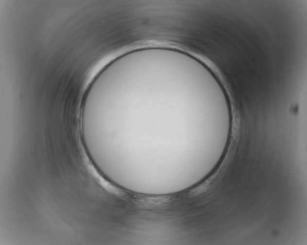 X0000111171294200907010958