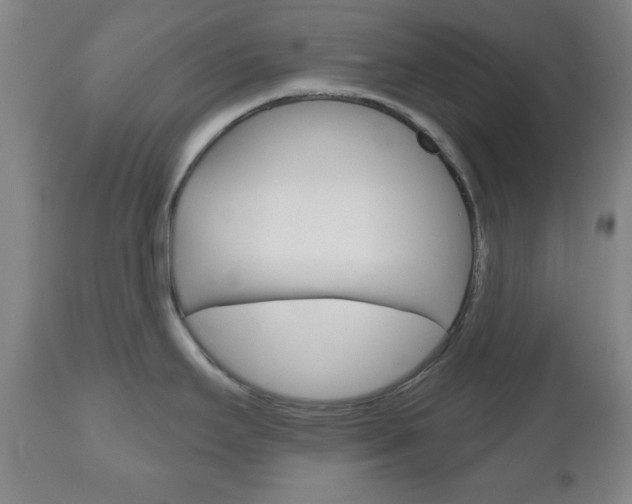X0000111171295200907010958