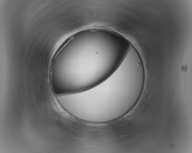 X0000111171296200907010958