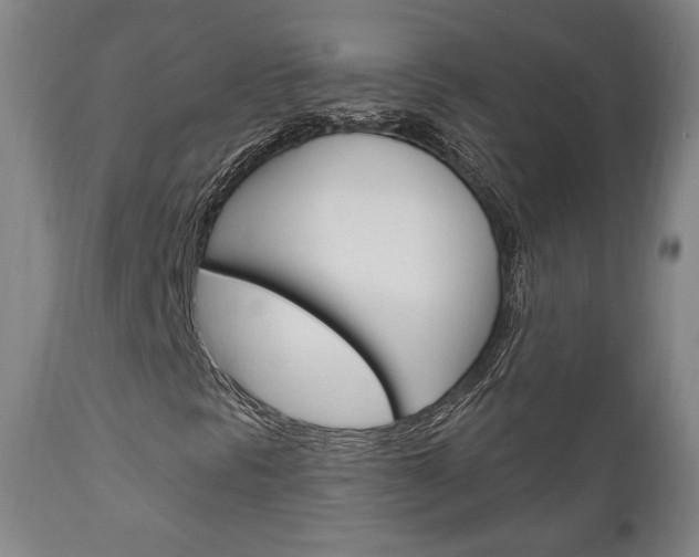 X0000111171297200907010958