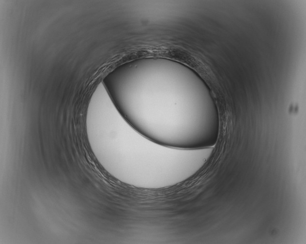 X0000111171298200907010958