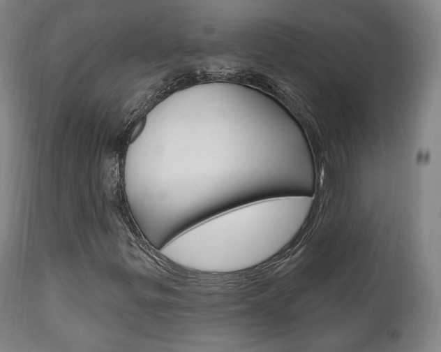 X0000111171299200907010958