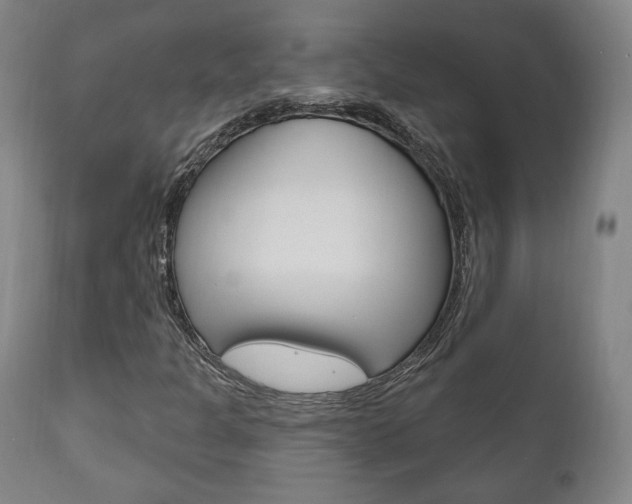 X0000111171301200907010958