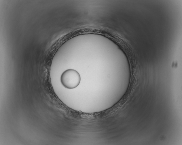 X0000111171302200907010958