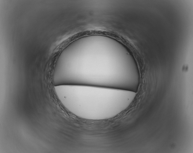 X0000111171303200907010958