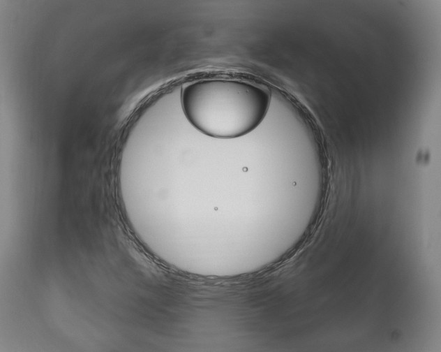 X0000111171304200907010958