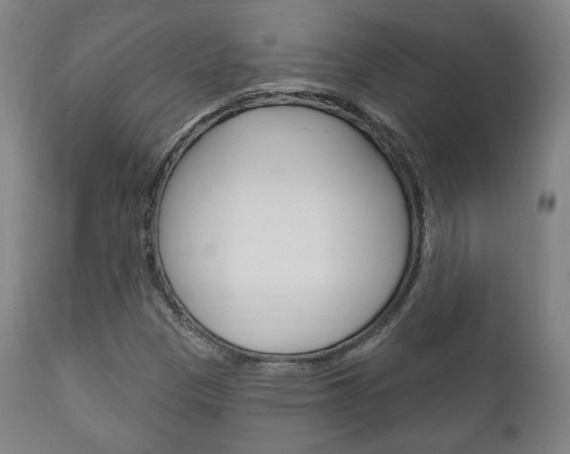 X0000111171305200907010958