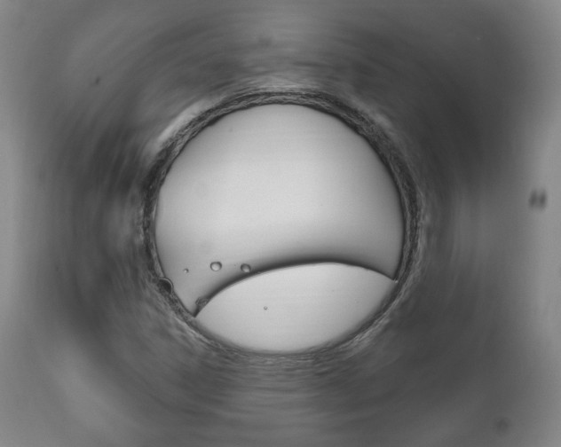 X0000111171306200907010958