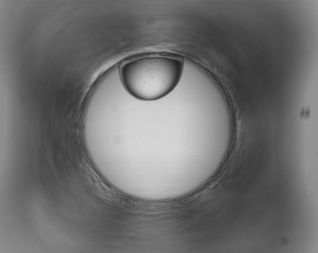 X0000111171308200907010958