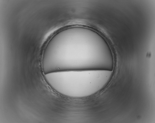 X0000111171312200907010958