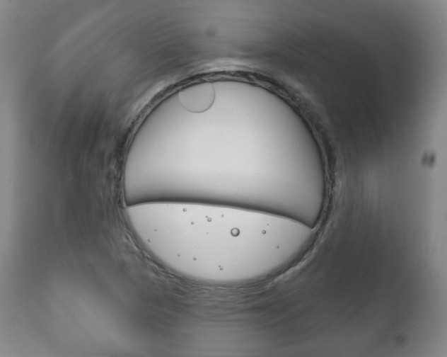 X0000111171313200907010958