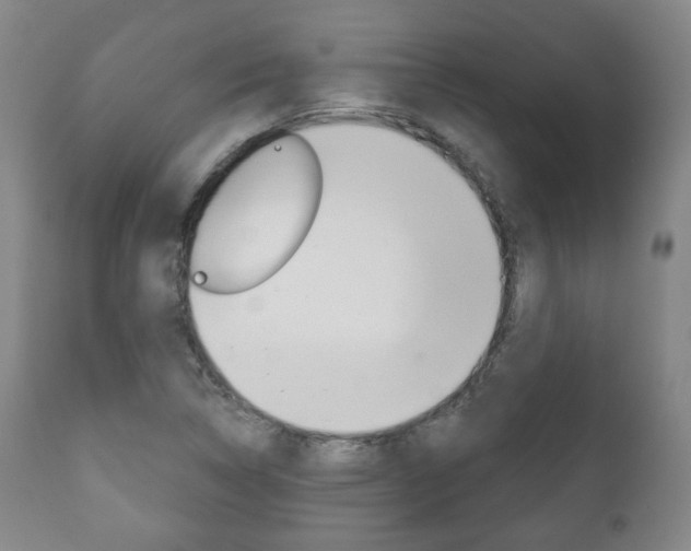 X0000111171314200907010958