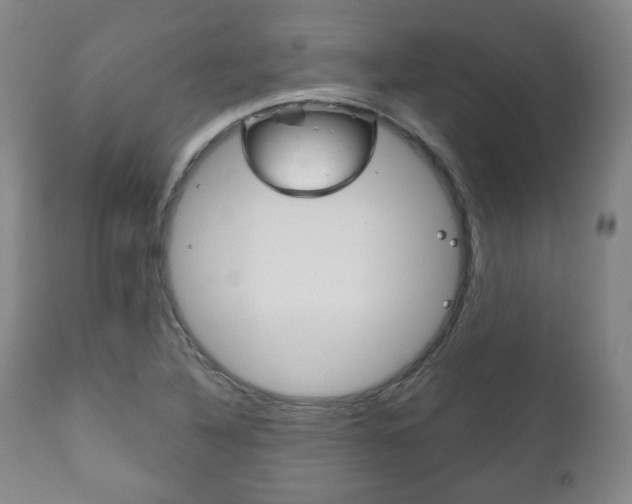 X0000111171316200907010958