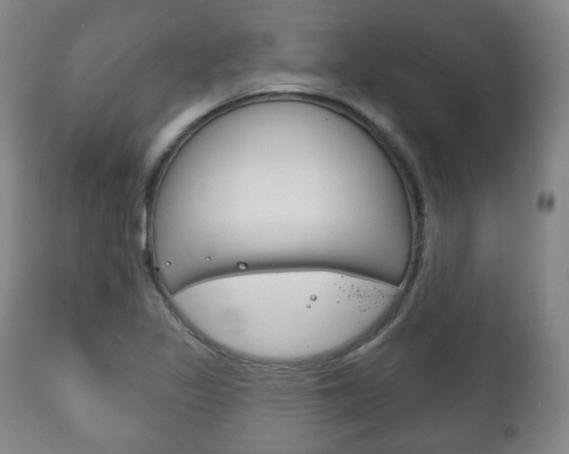 X0000111171317200907010958