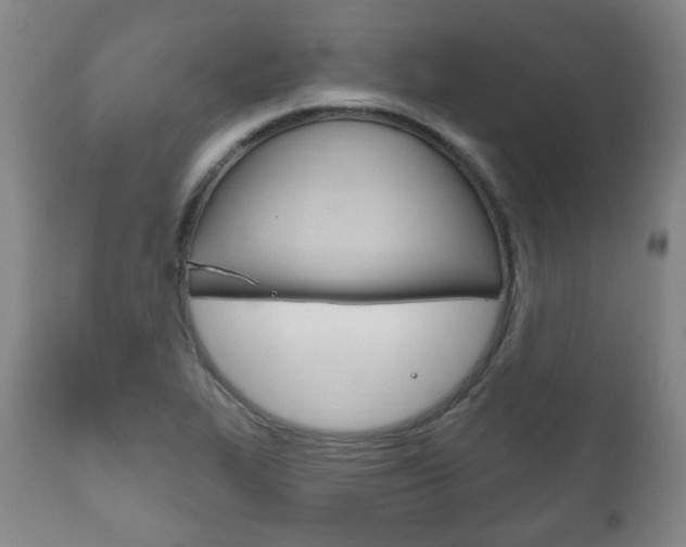 X0000111171319200907010958