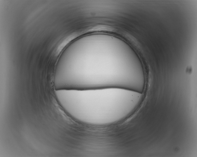 X0000111171321200907010958