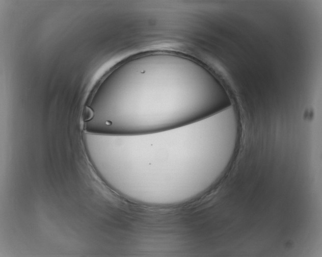 X0000111171324200907010958
