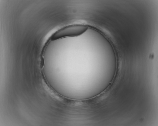 X0000111171326200907010958