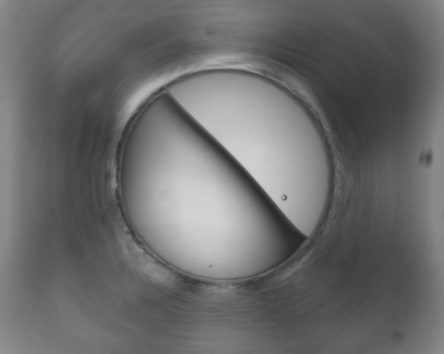 X0000111171328200907010958