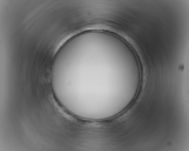 X0000111171329200907010958