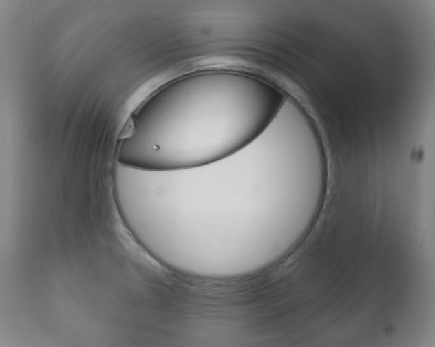 X0000111171330200907010958