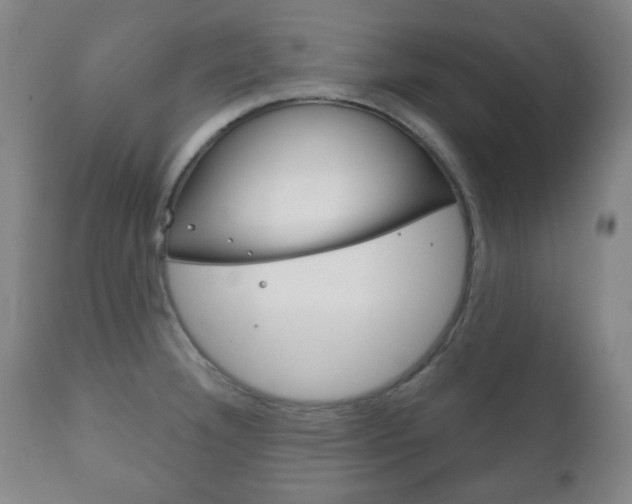 X0000111171332200907010958