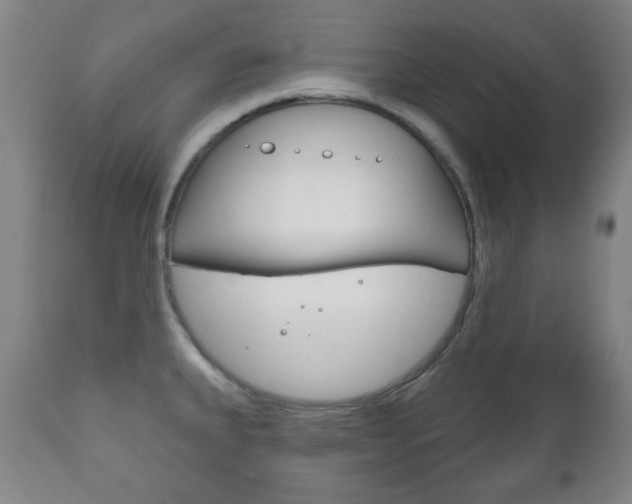 X0000111171335200907010958