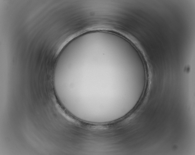 X0000111171337200907010958