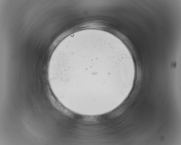 X0000111171338200907010958