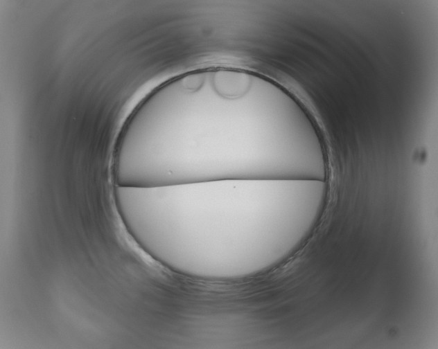 X0000111171339200907010958
