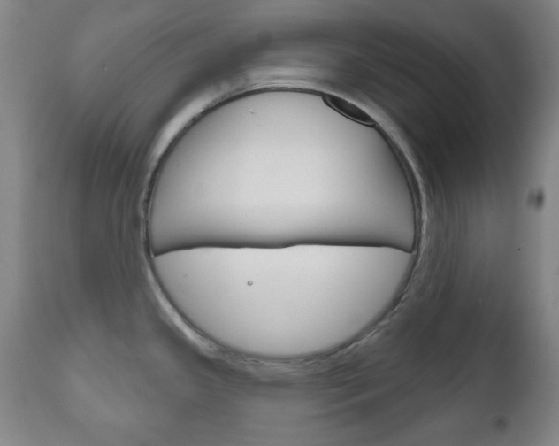 X0000111171341200907010958