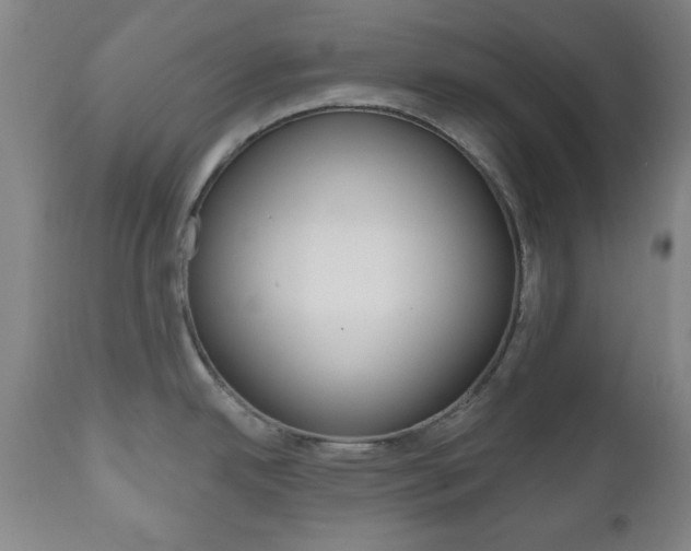 X0000111171342200907010958