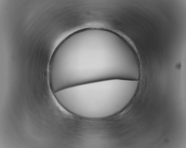 X0000111171343200907010958