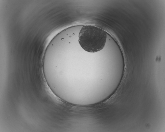 X0000111171344200907010958