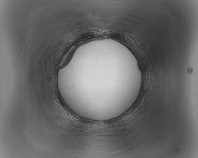 X0000111171345200907010958