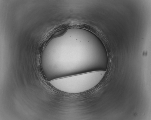 X0000111171348200907010958