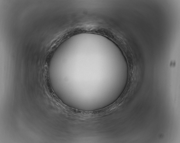 X0000111171349200907010958