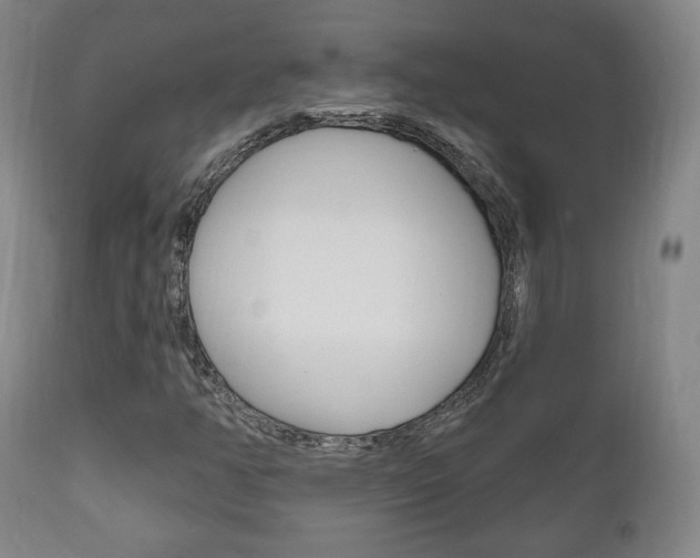 X0000111171350200907010958