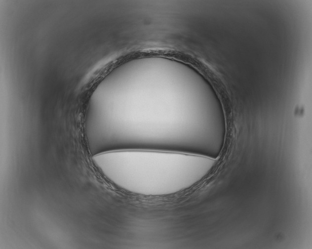 X0000111171351200907010957