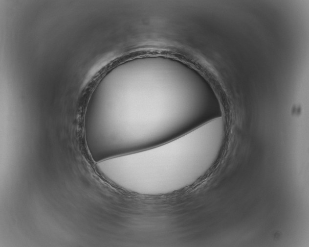 X0000111171352200907010957