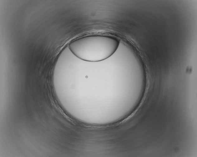 X0000111171353200907010957