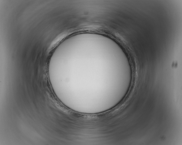 X0000111171354200907010957
