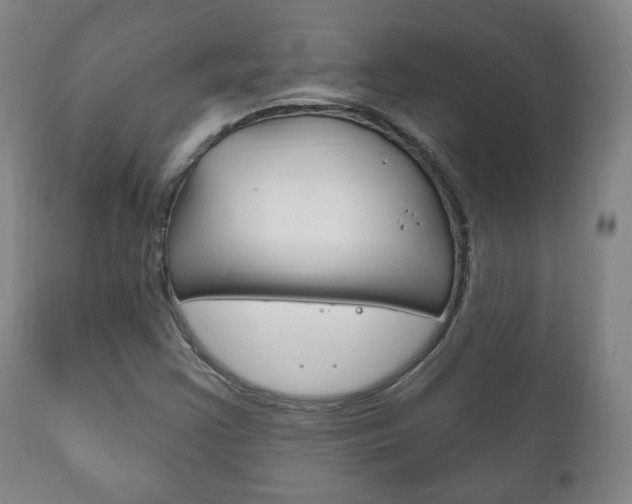 X0000111171355200907010957