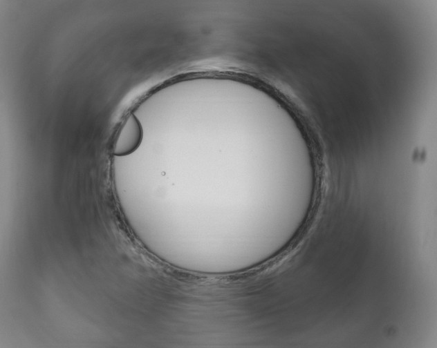 X0000111171358200907010957