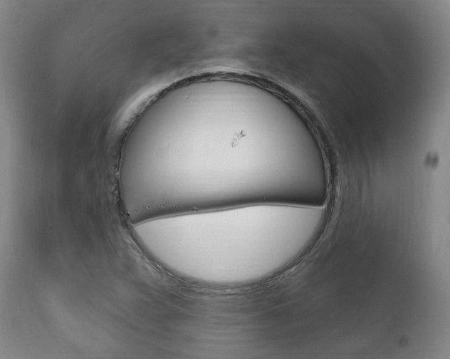 X0000111171359200907010957
