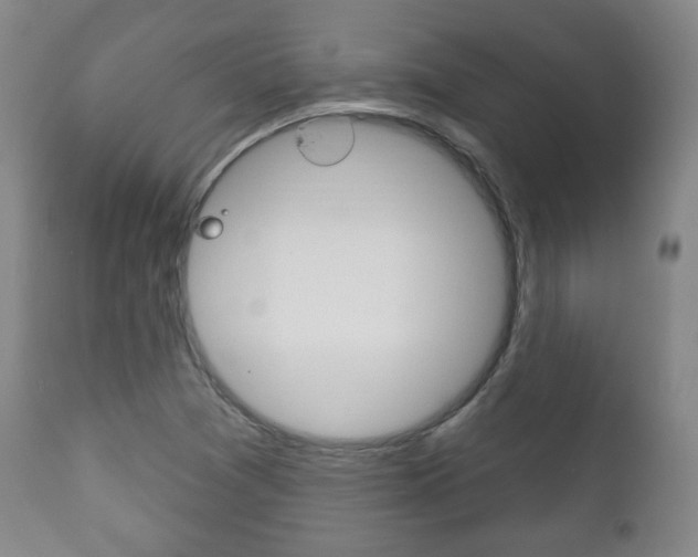 X0000111171361200907010957