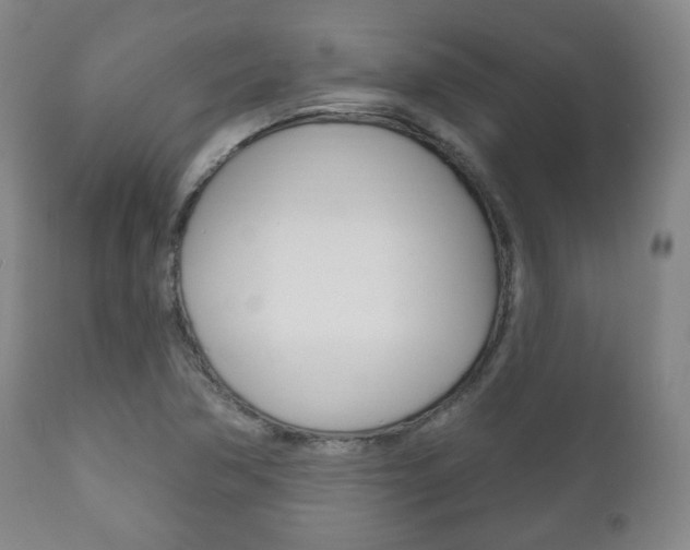 X0000111171362200907010957